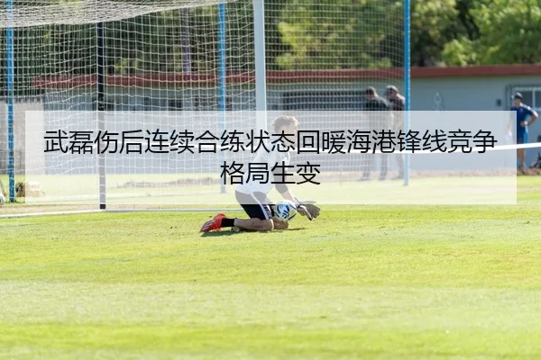武磊伤后连续合练状态回暖海港锋线竞争格局生变